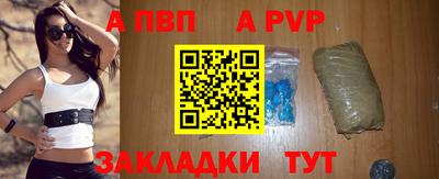 твердый Кингисепп