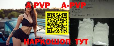 твердый Кингисепп