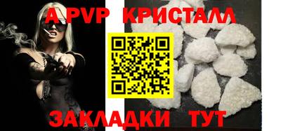 твердый Кингисепп